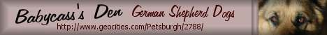 Long Coat German Shepherd info site