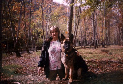German Shepherd dog long haired Daisy
