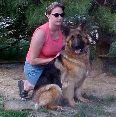 coated german shepherd Spencer