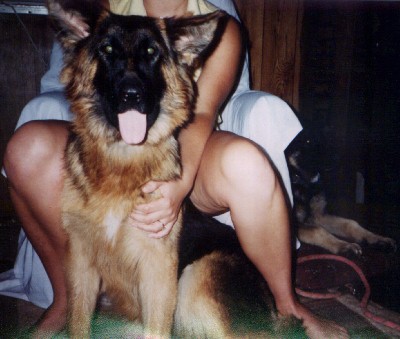 Spencer