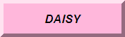 Precious Daisy