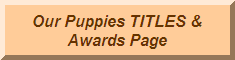 AWARDS
