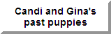 Candi and Gina's Pups