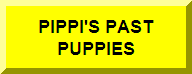 Pippi's Pups